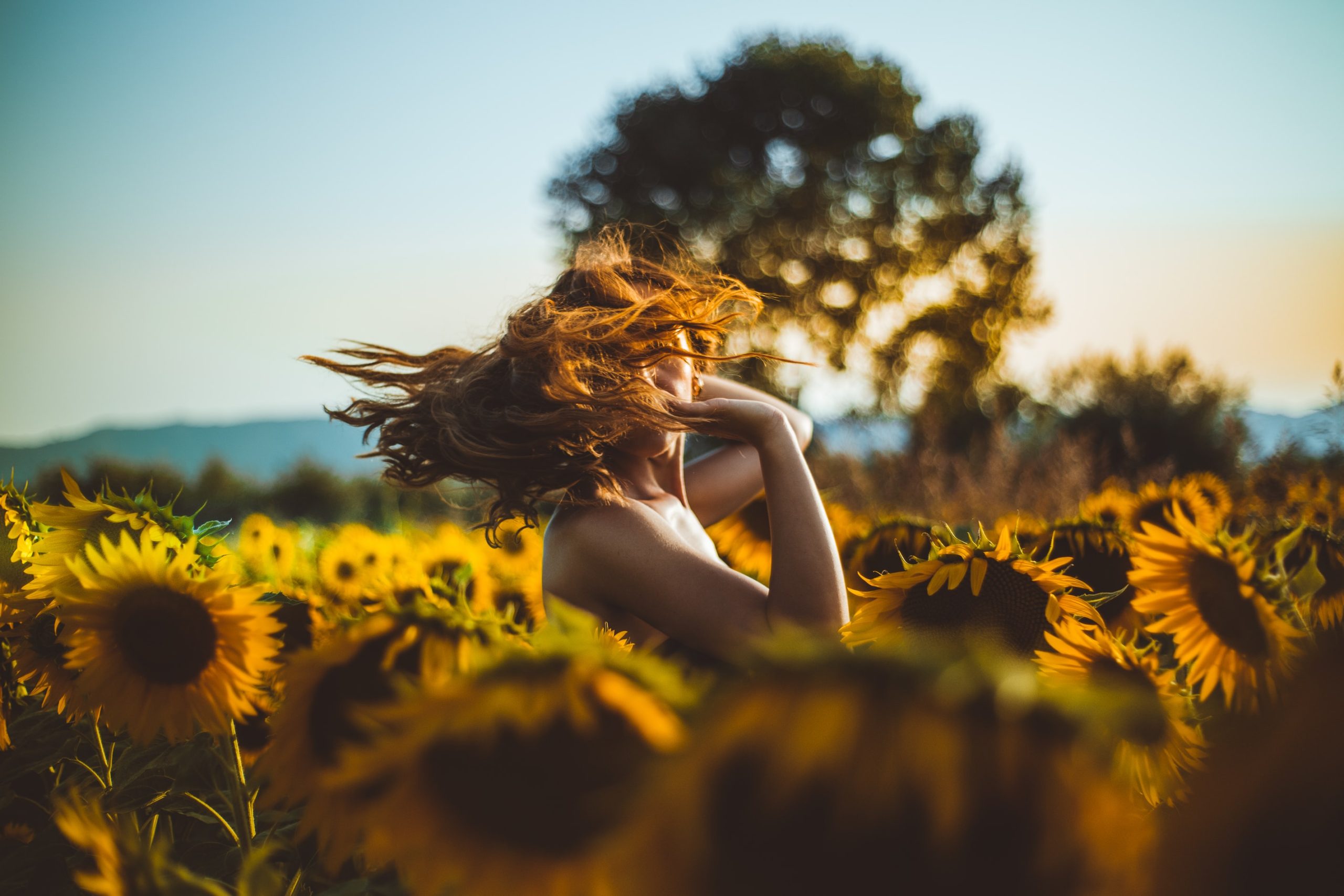 Sunflower Picture Ideas To Take This Fall