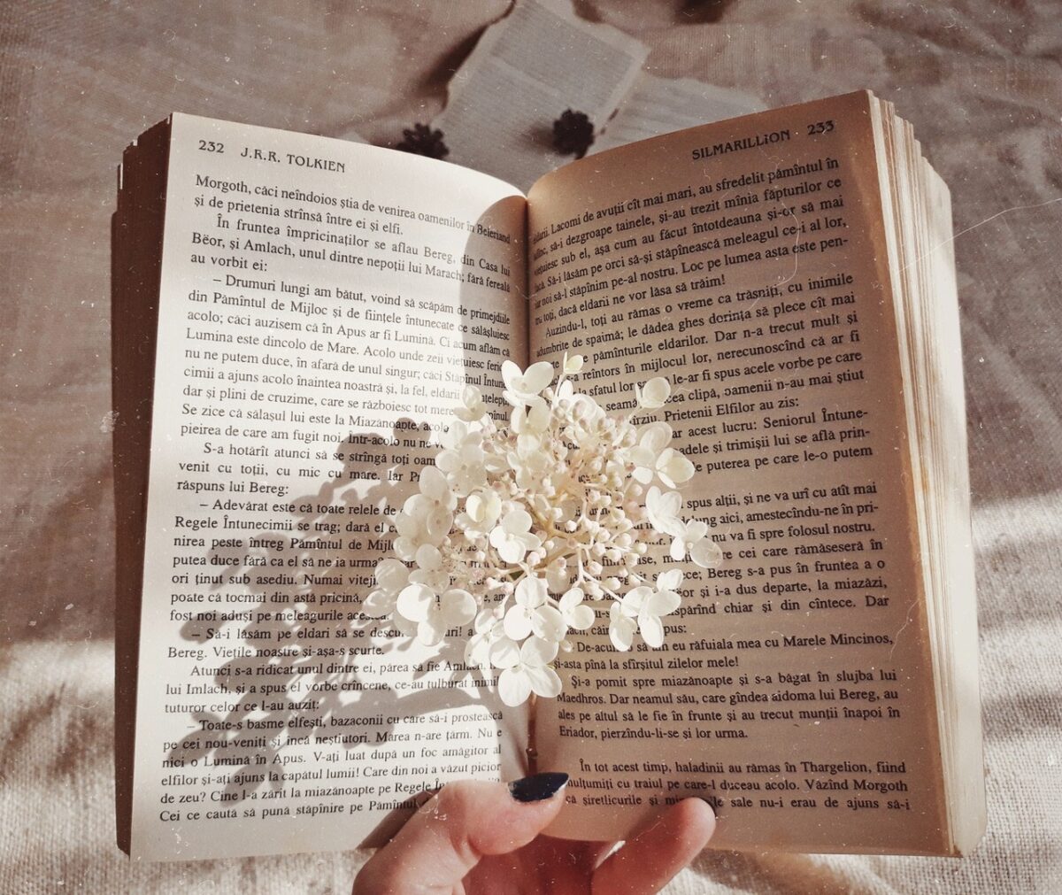 Five for Friday: Book Aesthetic